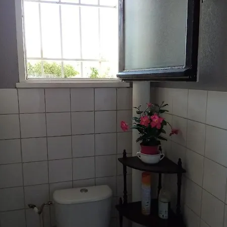 Double Greg En Colocation *